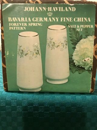 Vintage Johann Haviland Forever Spring Salt & Pepper Shakers Bavaria Germany