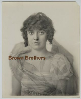 1910s Silent Film Actress Mabel Normand Dbw Formal Portrait Dbw Photo By Witzel