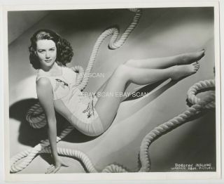 Dorothy Malone Sexy Leggy Swimsuit Pinup Vintage Portrait Photo