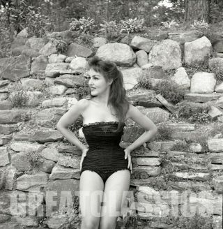 Julie Newmar 1950s In Swimsuit Lovely Legs 2 1/4 Camera Negative Peter Basch
