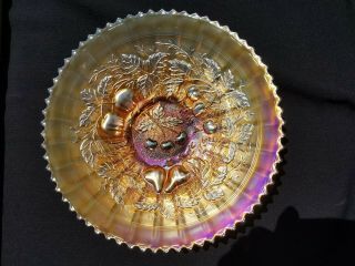 Northwood Carnival Glass Stippled Marigold Three Fruits Plate