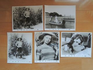 Sophia Loren Woman Of The River Lobby Card Japan 25.  5x20.  5cm 2
