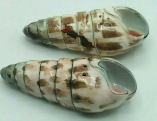 Vintage Florida Souvenir Sea Shells Salt Pepper Shaker Set Painted Japan