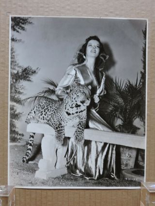 Katharine Hepburn With The Leopard Portrait Photo By Kahle 1937 Bringing Up Baby