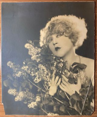 Mae Murray With Lilacs / Edwin Bower Hesser / 13 " X 16 " / Stunning Photograph
