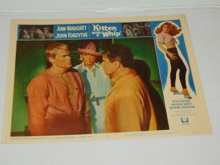 Vintage 1964 Universal Kitten With A Whip Lobby Card 64/328