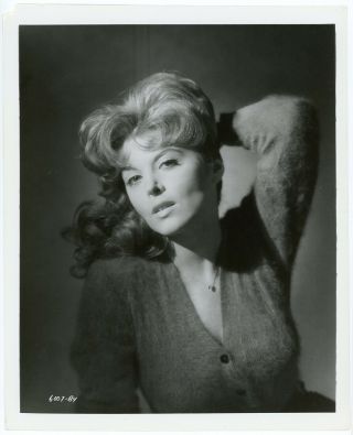 Sultry Redhead Tina Louise Vintage 