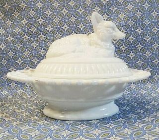 Antique Milk Glass Atterbury Fox On Nest Dancing Sailors Lacy Edge Covered Dish