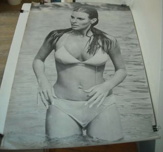 Rolled 1967 Personality Posters 326 Raquel Welch 2 Poster Wet Bikini 29 X 42