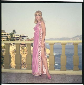 Stella Stevens Sexy Leggy Glamour Pin Up Photo By Ocean Transparency