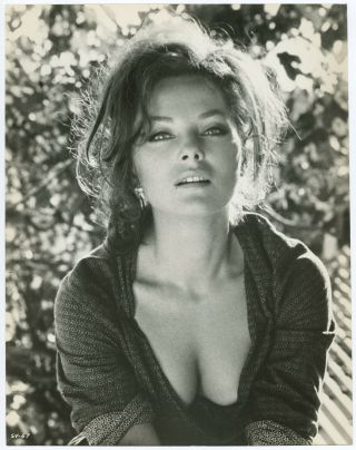 Sultry Italian Actress Virna Lisi The Secret Of Santa Vittoria Photograph 1969