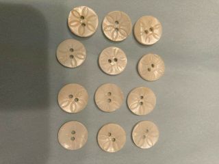 Vintage Mother Of Pearl Buttons W/carved,  Etched Flower.  Charming,  Approx.  1/2