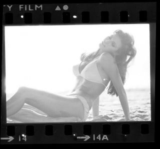 Raquel Welch Sexy Glamour Pin Up Photo On Beach 35mm Camera Negative