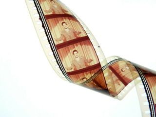 Elvis Presley 35mm Film movie trailer Frankie and Johnny 1966 Donna Douglas 3
