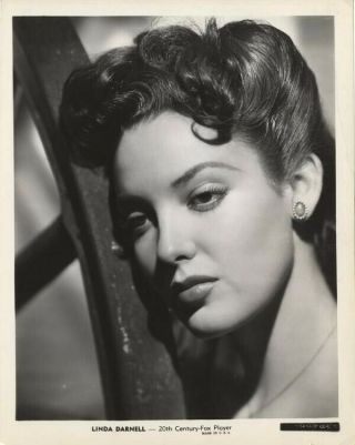 Linda Darnell Breathtaking Sultry Vintage Glamour Portrait 8x10 Photo