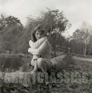 Elsa Martinelli 1957 Young Lovely 2 1/4 Camera Negative Peter Basch