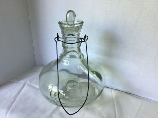 Vintage Blown Glass Fly Wasp Insect Trap 10” Tall Hanging With Leaf Stopper
