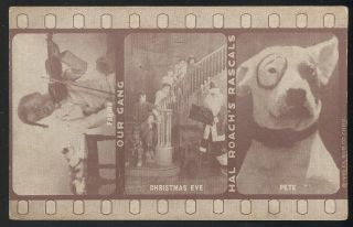 1929 Exhibit Type Post Card,  Hal Roach 