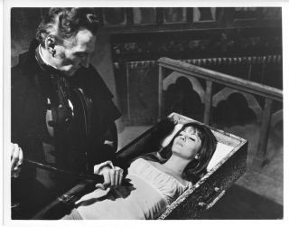 The Vampire Lovers 8x10 Photo 1970 Hammer Ingrid Pitt Lies In Coffin