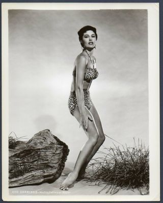 Cyd Charisse Leggy Actress Dancer Vintage Orig Photo Swimsuit Cheesecake Pin - Up