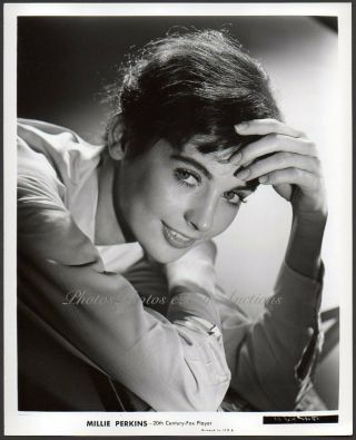 Millie Perkins Young Actress Famous For Diary Of Anne Frank Vintage Orig Photo