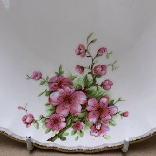 Vintage GRINDLEY CREAM PETAL Pink Blossom Floral Serving Cake Plate 2