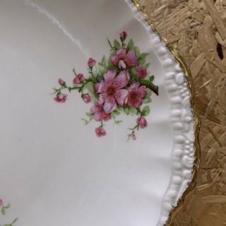Vintage GRINDLEY CREAM PETAL Pink Blossom Floral Serving Cake Plate 3
