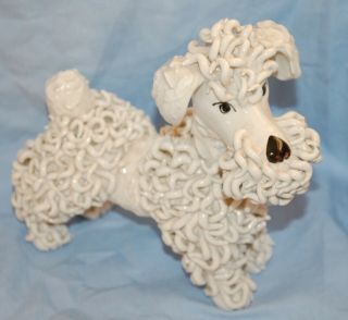 Old Vintage Large 7 " White Pottery Poodle Spaghetti Design - Made In Italy