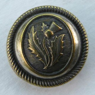 Antique Vintage Brass Metal Thistle Uniform Button Waterbury 15/16 "