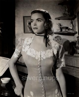 Orig 1944 Dorothy Mcguire R.  K.  O Starlet.  Linen Glamour Portrait By Alex Kahle