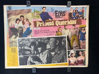 1964 Elvis Presley Kissin Cousins Mexican Lobby Card Art 16 " X12 "