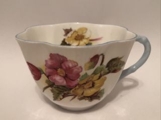 Vintage Shelley ‘begonia’ Fine Bone China Tea Cup