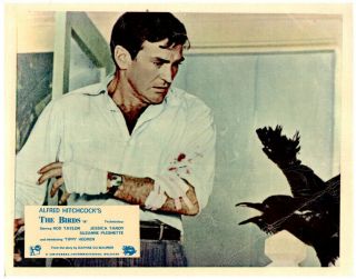 The Birds Lobby Card Rod Taylor Large Crow Alfred Hitchcock 1963
