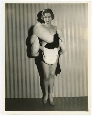 Fur Clad Pre - Code Hollywood Pin - Up Maxine Cantway 1930s Photograph