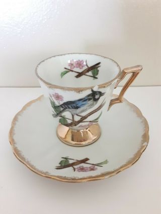 Blue Jay Bird Tea Cup And Saucer Mini Demitasse Vintage 2