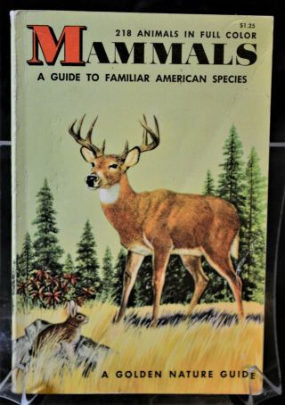 Vintage Mammals Golden Nature Guide Familiar American Species Paperback Color