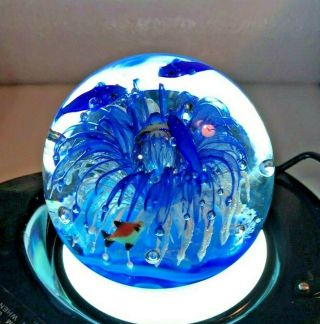 Murano Art Glass Aquarium Paperweight Ann Primrose Glows In Dark
