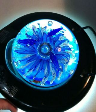 MURANO ART GLASS AQUARIUM Paperweight ANN PRIMROSE glows in dark 3
