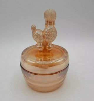 Vtg Jeannette Floragold Marigold Carnival Glass Poodle Powder Jar Trinket 3
