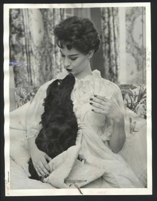 1956 Nancy Berg Vintage Photo Fail - Safe The Doctors