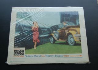 Vintage 1961 Lobby Card For Splendor In The Grass Movie Natalie Wood Var 4