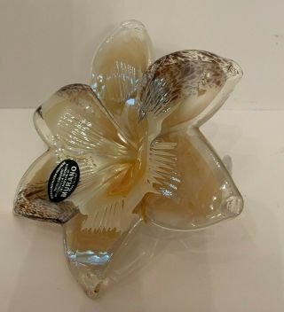 Murano Art Glass Hand Blown 6 Petal Stargazer Lily Flower Gold Luster Italy