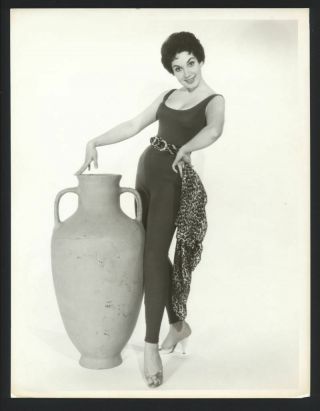 1959 Joan Van Pelt Leggy Pose Vintage Photo