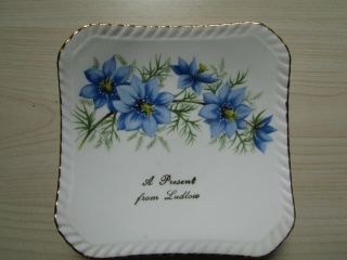 A Present From Ludlow - Vintage Royal Adderley Floral Bone China Small Souvenir.