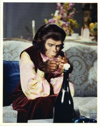 Escape From Planet Of The Apes Kim Hunter Champagne Vintage Vivid Color Photo