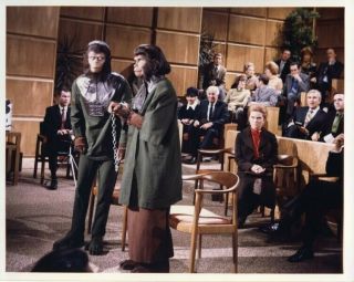 Escape From Planet Of The Apes Kim Hunter Roddy Mcdowall Vintage Photo In Court
