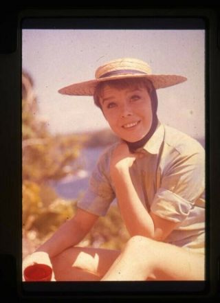 Swiss Family Robinson Janet Munro Portrait 35mm Transparency Re - Release