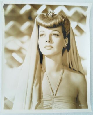 Ann Sheridan Photo 1940s Warner Bros/lobby Card/photo D 