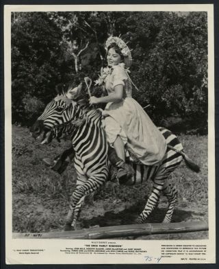 The Swiss Family Robinson ’69 Janet Munro Riding A Zebra