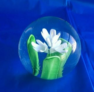 Dynasty Gallery Heirloom Collectibles Star Of Bethlehem Flower Glass Paperweight